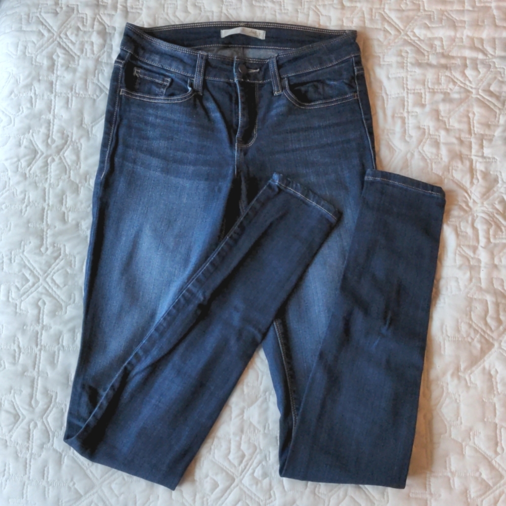 Dark wash Daytrip Skinny Jeans